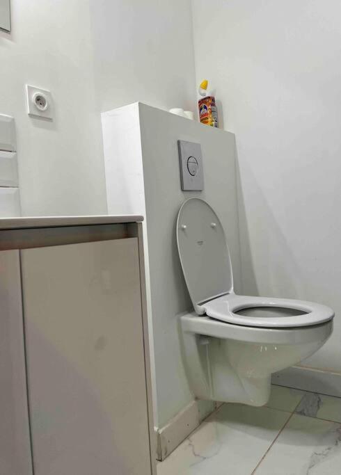 2 Room Flat Toulouse Buitenkant foto